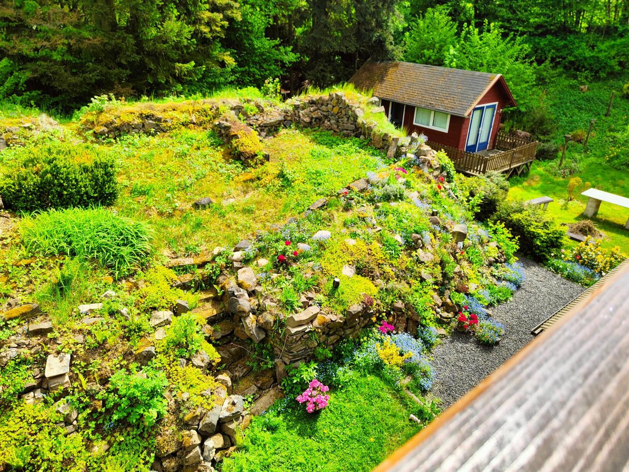 Bed And Breakfast Tvrz Velka Bukovina Exterior photo